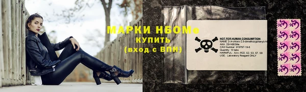 spice Богородицк