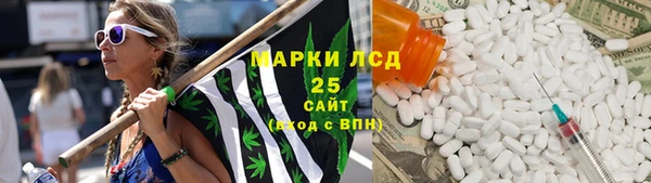 твердый Бородино