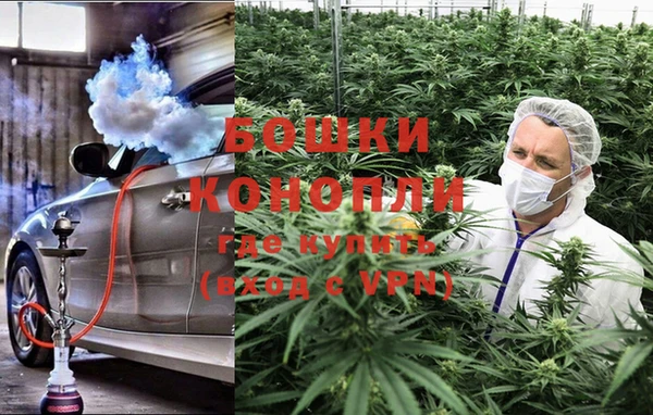 шишки Богородск