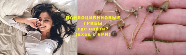 spice Богородицк