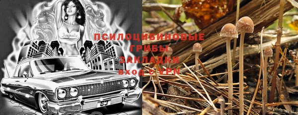 spice Богородицк