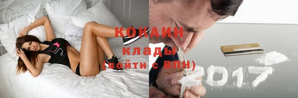 шишки Богородск