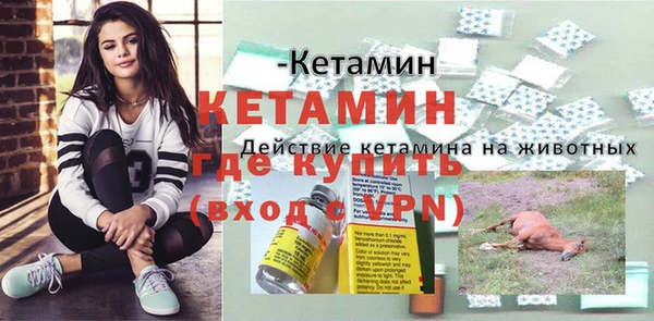 шишки Богородск