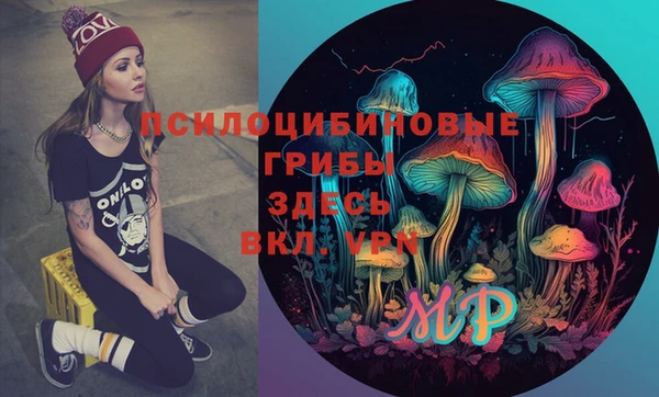 spice Богородицк