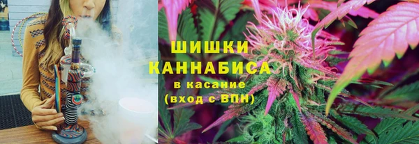 шишки Богородск