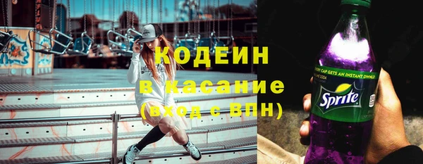 шишки Богородск