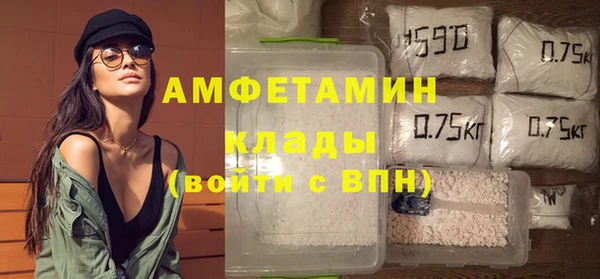 spice Богородицк