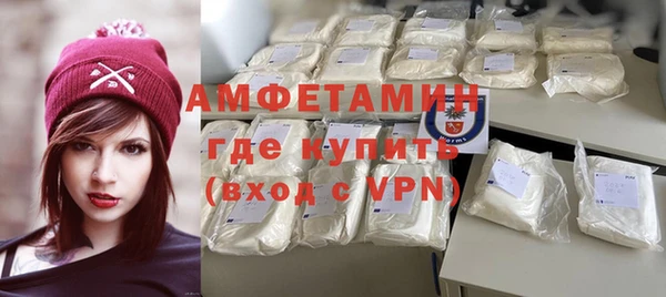 твердый Бородино
