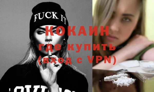 твердый Бородино
